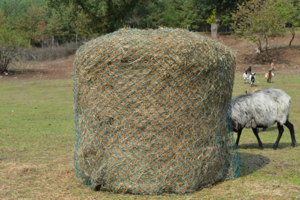Rundballennetze