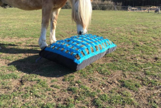 Ground feeder mit Gurtbandnetz, ca.8 kg Heu